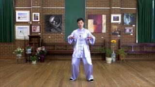Tai Chi 24 Form Step by Step Instructions Paragraph 4