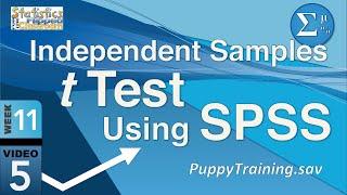 How to do an Independent Samples t Test in SPSS 11-5