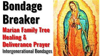 Family Tree Bondage Breaking Prayer to the Blessed Virgin Mary Releasing Intergenerational Bondages