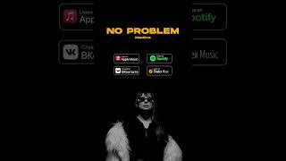 No Problem әні барлық музыкалық платформаларда #мадинасадвакасова #noproblem