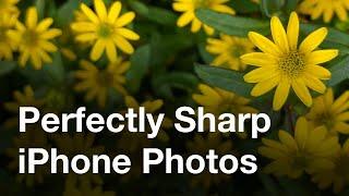 Secret iPhone Camera Feature For Perfectly Sharp Photos