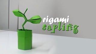 Tiny Origami Plant  Origami Sapling 