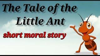 Ant & bird  Moral Story  Childrenia English Story  Short Story in English  One minute Stories