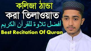 কলিজা ঠান্ডা করা তিলাওয়াত  ক্বারী আবু রায়হান Best Quran Recitation  Qari Abu Rayhan قاري ابو ريحا