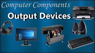 Output Devices of Computer Examples and purpose  Virtual Reality