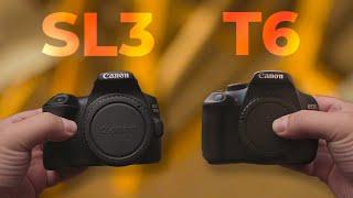 Canon 250D vs Rebel T6 Still Good in 2023?