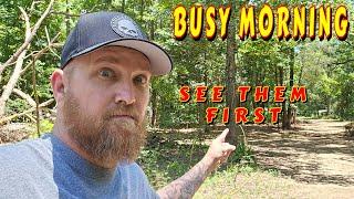 Cmon Mountain Is Buzzing tiny house homesteading off-grid cabin build DIY HOW TO sawmill