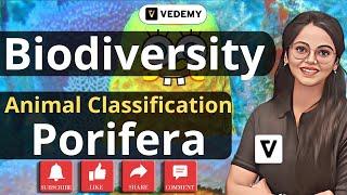 Porifera  Animal Classification  Biodiversity  Dr. Manisha Verma  CSIR  GATE  DBT   CUET 