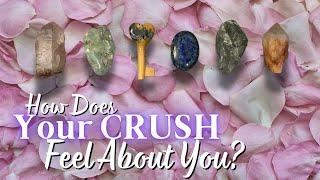  How Does Your CRUSH Feel About You?  to the point  tarot pick a card