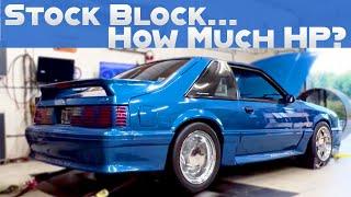 How Much HP Did My Stock Block Foxbody Make?