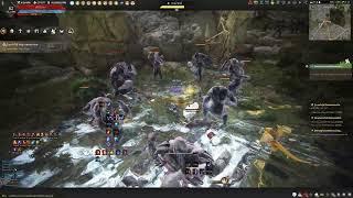 Black Desert Online - Witch succession  Primal giant NO Elvia buff