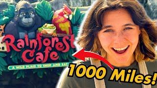 Flying 1000 Miles For A Rainforest Cafe