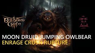 Jumping Owlbear Druid Rogue Multi Class Baldurs Gate 3 Build Step by Step Guide BG3