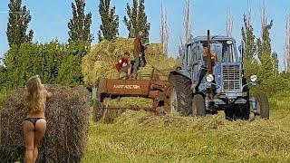 МИ КОСИЛИ СІНО на городі РУКИ впали встали Піс@Ни ⤴️