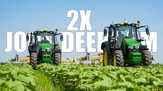 Inter-Row cultivation of sunflower 2023 - JOHN DEERE 6110M 6120M & BEDNAR Row-Master RN 4800 