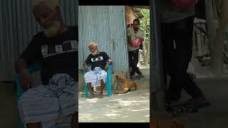 TOP FUNNIEST FAKE TIGER PRANK ON GRANDPA  SAGOR BHUYAN