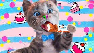 FUNNY LITTLE KITTEN ADVENTURE - CARTOON KITTEN INTERACTIVE VIDEO - CUTE CAT GAME