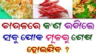 Odia Gk  Interesting Gk  Odia General Knowledge  Gk Questions And Answers  Odia Gk Quiz