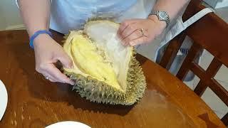 How to open a durian without tools