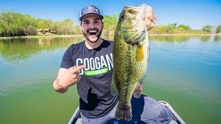 Catching BIG Bass on Crankbaits Spring Fishing