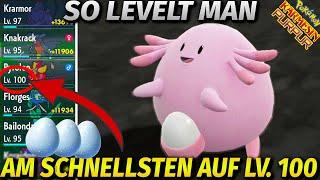 *NEU* So levelt ihr eure Pokémon am schnellsten auf Level 100 ► Pokémon Karmesin & Purpur