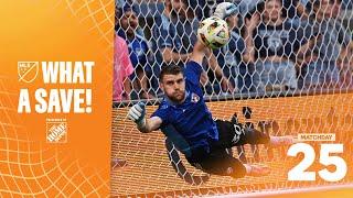 What A Save  The BEST Saves of Matchday 25