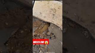 Ghar ka pipe repair kren  #shortsviral #china #chinese #story #facts #experiment #viralvideos