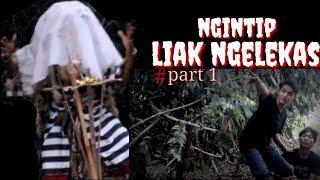 NGINTIP LIAK NGELEKAS PARODI BALI