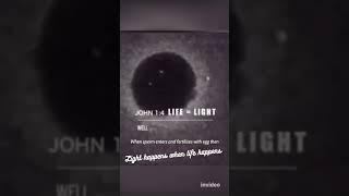 Light happens when Life Happens #love #motivation #knowledge #trending shorts ding