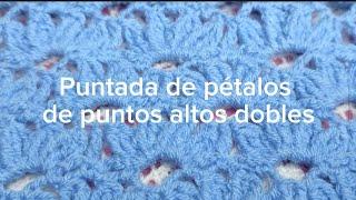 Cómo tejer puntada de pétalos a crochet