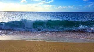 Ocean Waves Relaxation 10 Hours  Soothing Waves Crashing on Beach  White Noise for Sleep