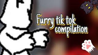 Furry tik tok compilation #cute #cutewolf