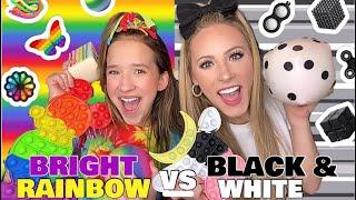 BRIGHT RAINBOW VS BLACK & WHITE  FIDGET SLIME & SQUISHMALLOW SHOPPING CHALLENGE