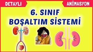 BOŞALTIM SİSTEMİ 6. SINIF FEN BİLİMLERİ