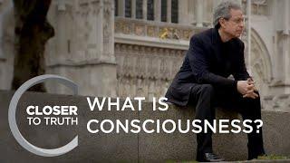 What is Consciousness?  Episode 1302  Closer To Truth