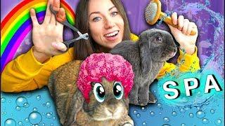 LAST VIDEO of Rabbit Lizun. Spa Salon For Rabbits. Rabbit Lizun died  Elli Di Pets