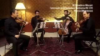 Borusan Quartet Live - Borusan Octet