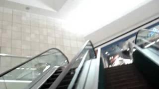 Eels and Escalators