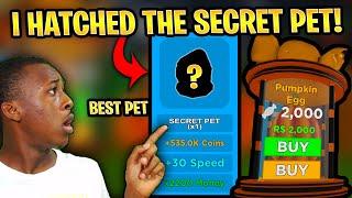 I HATCHED THE SECRET PET IN MAGNET SIMULATOR UPDATE 23