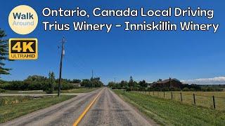 【4K60】 Canada Driving Trius Winery & Restaurant - Inniskillin Wines