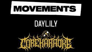 Movements - Daylily Karaoke Instrumental