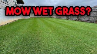 Should You Mow Wet Grass?