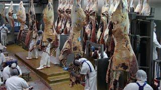 Full Process of a Beef Factory -  Fresh Beef Production - Amazing Workers Cutting Meat Skill