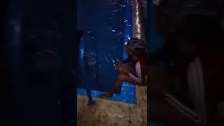 Menore desacata bailando denbow en la piscina. tofrioo