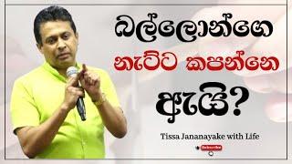 බල්ලොන්ගෙ නැට්ට කපන්නෙ ඇයි?  Tissa Jananayake with Life  EP 120