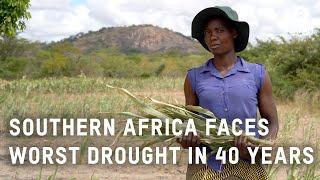 Worst drought in 40 years hits Southern Africa - report from Zimbabwe  Oxfam GB