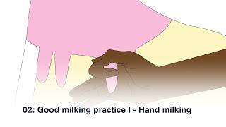 02 Good milking practice I - Hand milking