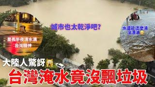 大陸人驚訝台灣淹水竟沒飄出垃圾？！城市也太乾淨了吧？怎麼做到的？城市的水還能這麼清，沒漂油？