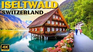 Spring in Iseltwald Switzerland Walking Tour 4K