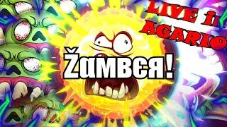 DIRECTO DE AGAR.IO   Zamber en Live  unete sobrino